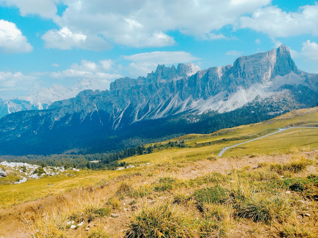 International Bookings